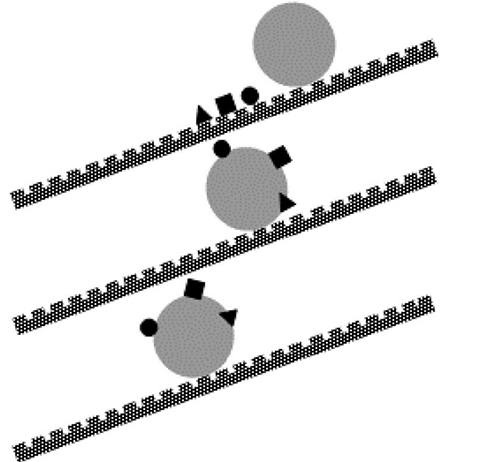 3.gif 3.gif