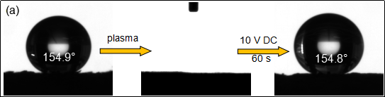 1.png 1.png