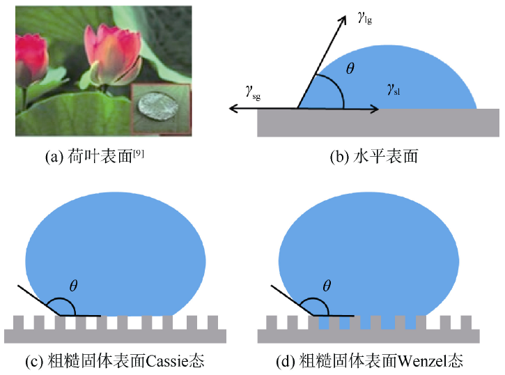 2.png 2.png